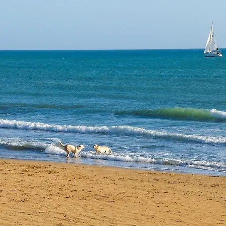 Holiday home Cozy In With Kitchen Marina di Ragusa